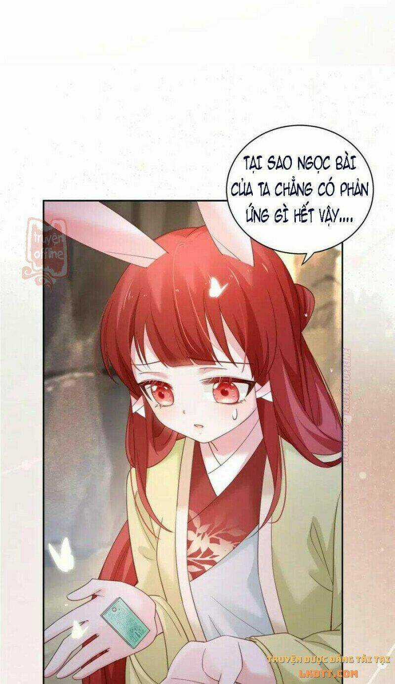Hắc Hóa Nam Chính Trực Tuyến Nuôi Thỏ Chapter 53 trang 7