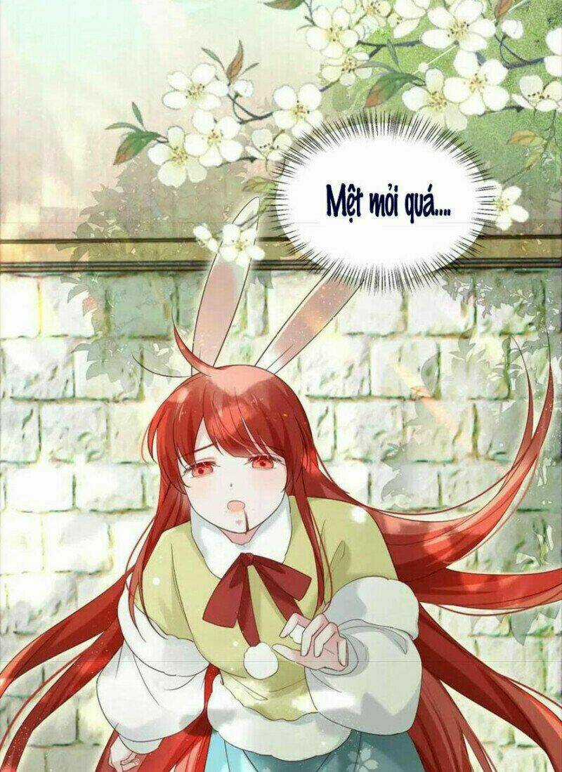 Hắc Hóa Nam Chính Trực Tuyến Nuôi Thỏ Chapter 58 trang 23