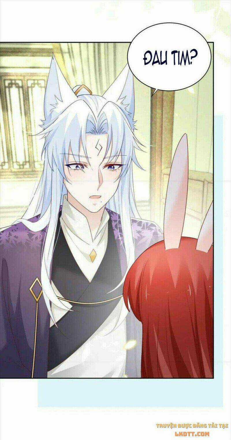 Hắc Hóa Nam Chính Trực Tuyến Nuôi Thỏ Chapter 60 trang 11
