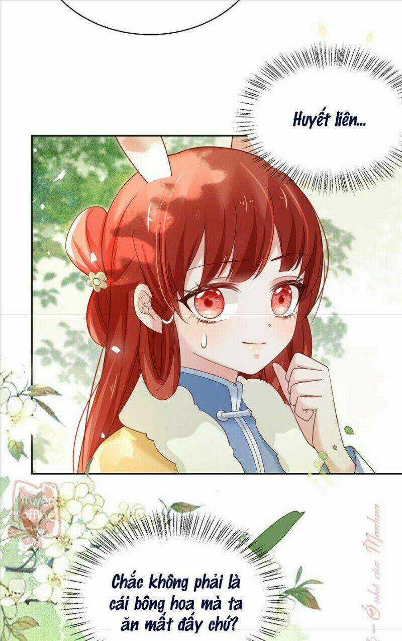 Hắc Hóa Nam Chính Trực Tuyến Nuôi Thỏ Chapter 64 trang 6