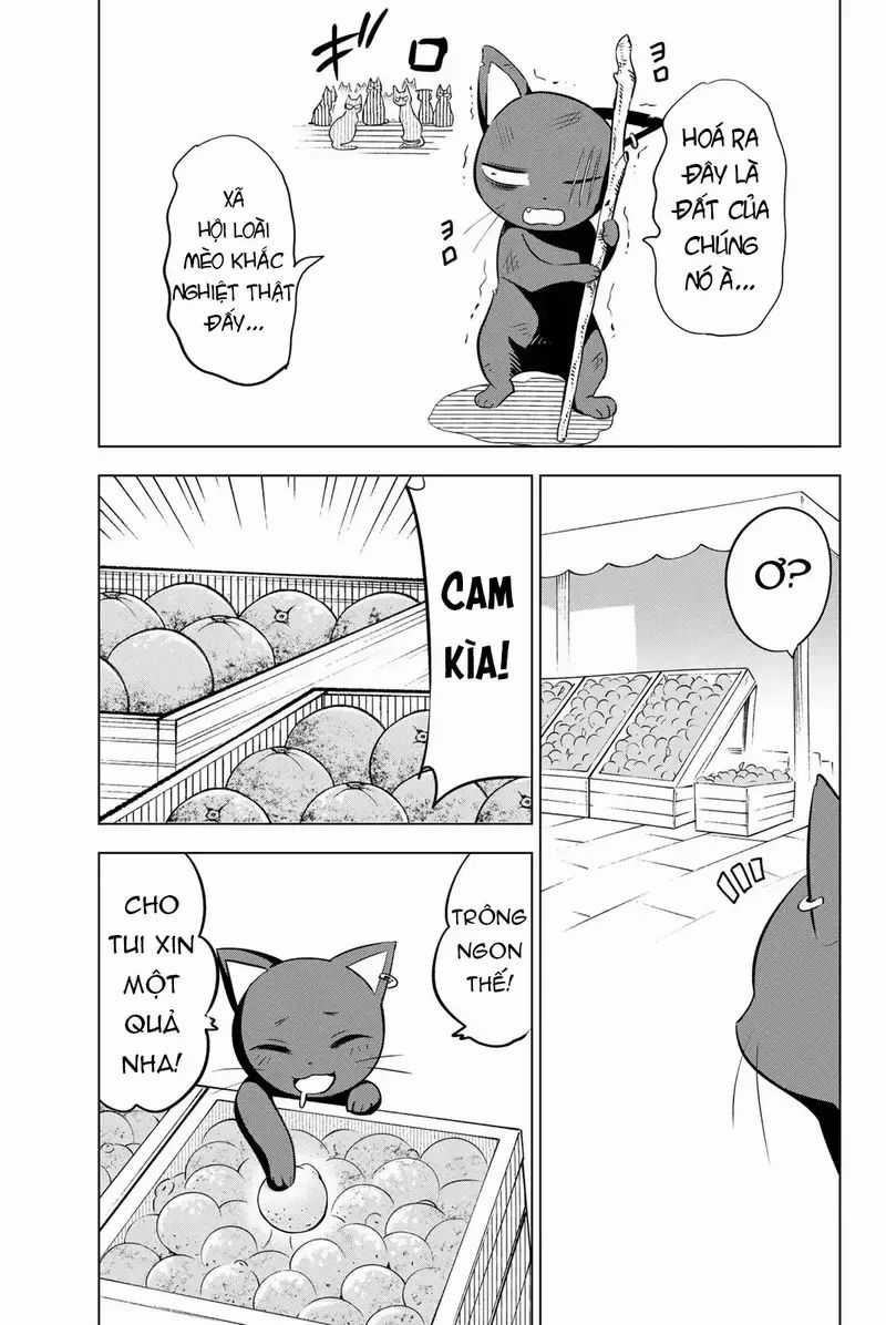 Hắc Miêu Và Lớp Học Phù Thủy Chương 4.5 trang 4