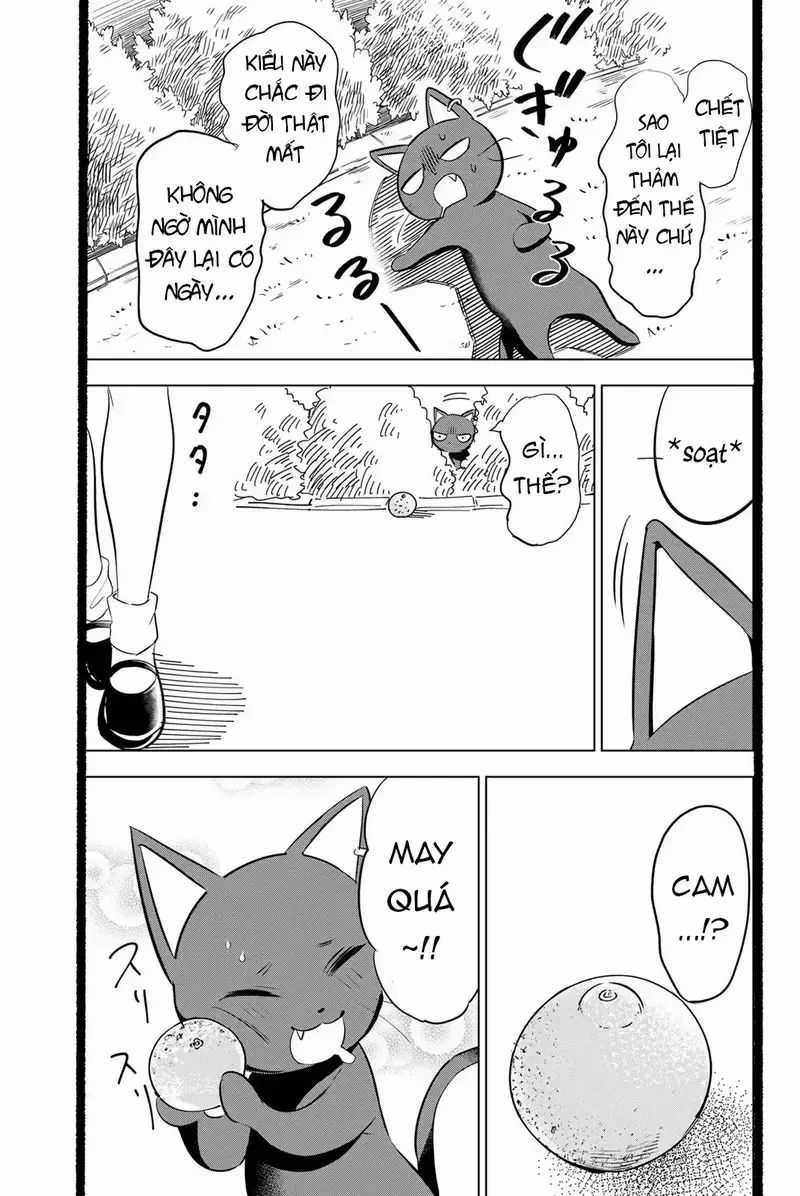 Hắc Miêu Và Lớp Học Phù Thủy Chương 4.5 trang 6