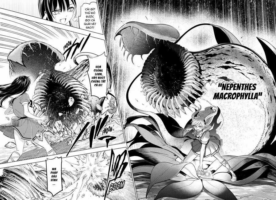 Hắc Miêu Và Lớp Học Phù Thủy Chương 55 trang 11