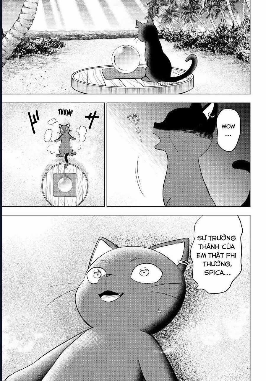 Hắc Miêu Và Lớp Học Phù Thủy Chương 57 trang 10