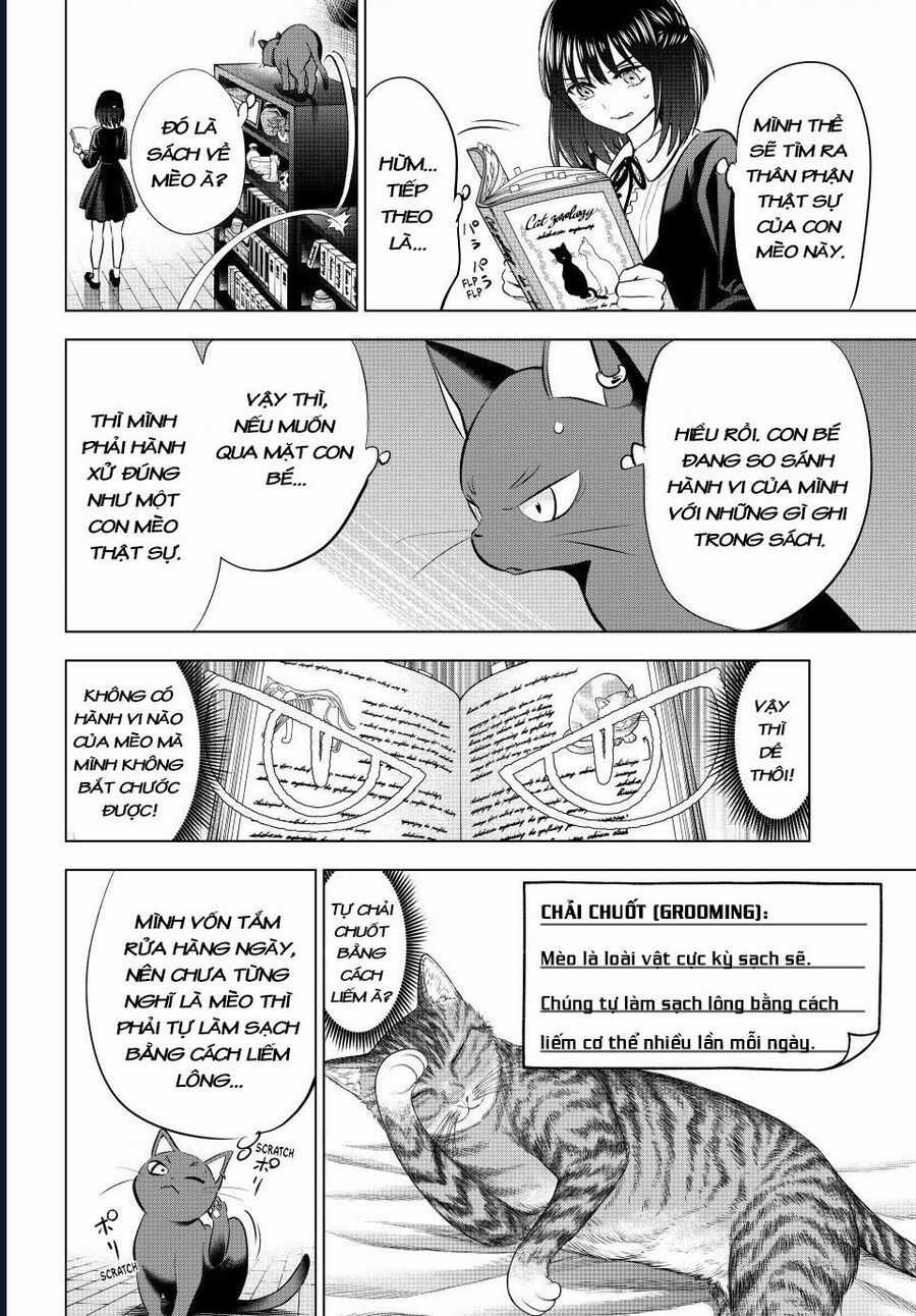 Hắc Miêu Và Lớp Học Phù Thủy Chương 61 trang 13