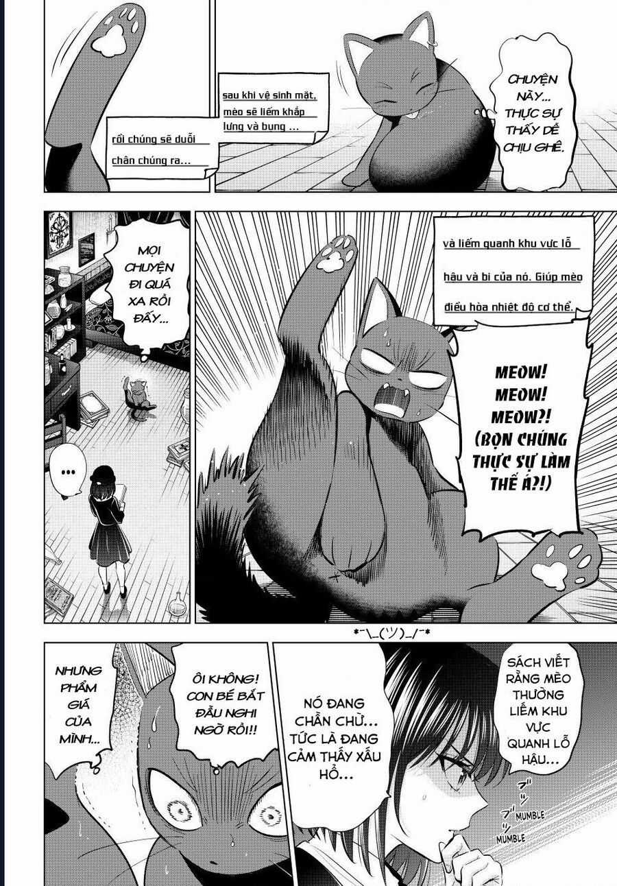 Hắc Miêu Và Lớp Học Phù Thủy Chương 61 trang 15