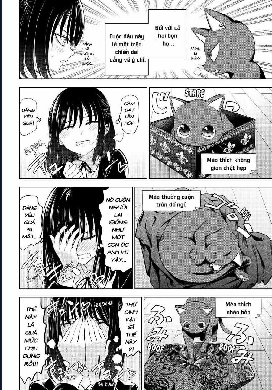 Hắc Miêu Và Lớp Học Phù Thủy Chương 61 trang 17