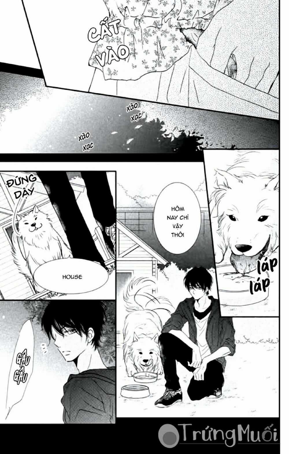 Hắc Quỷ Và Bạch Hoàng Tử Chapter 15 trang 6