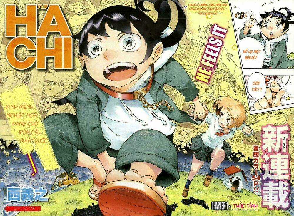 Hachi Chapter 1 trang 2