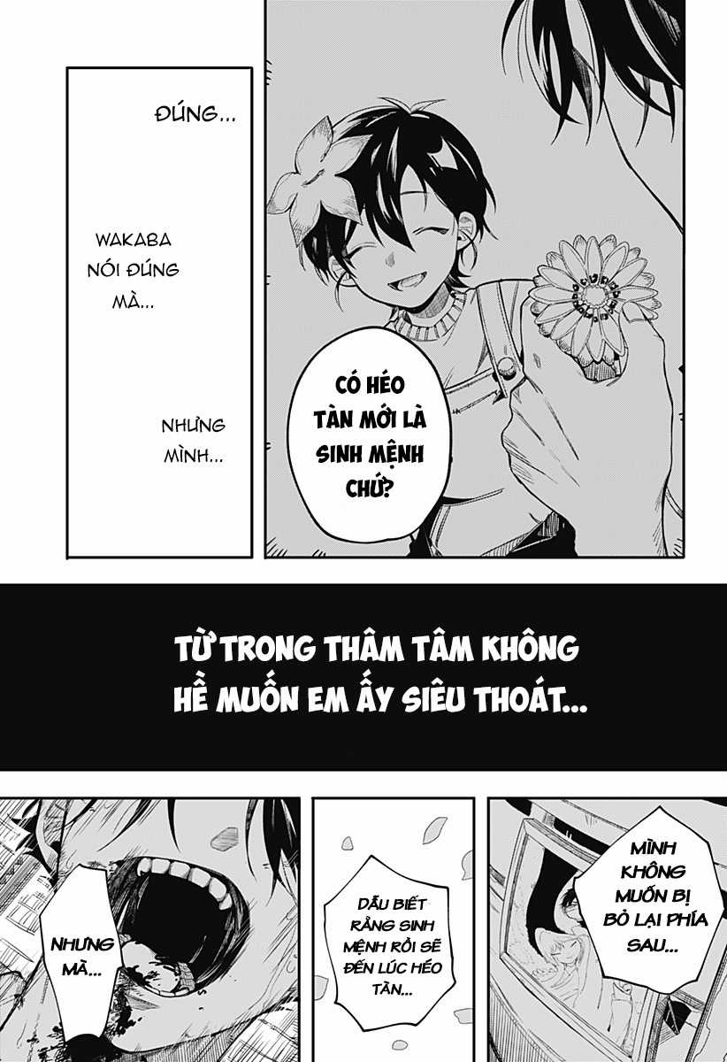 Hachigatsu no adabana Chapter 0 trang 29