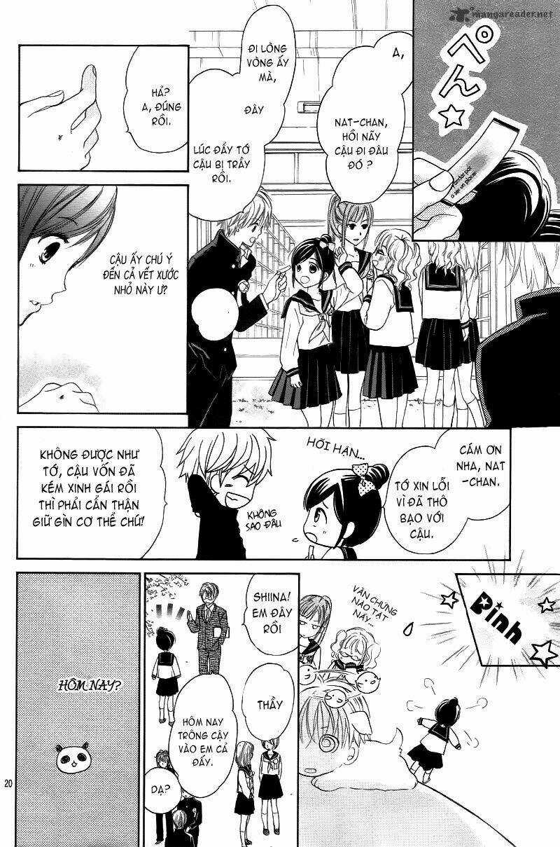 Hachimitsu Ni Hatsukoi Chapter 1 trang 20