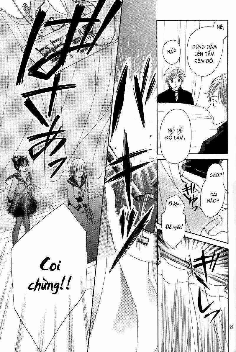 Hachimitsu Ni Hatsukoi Chapter 1 trang 29