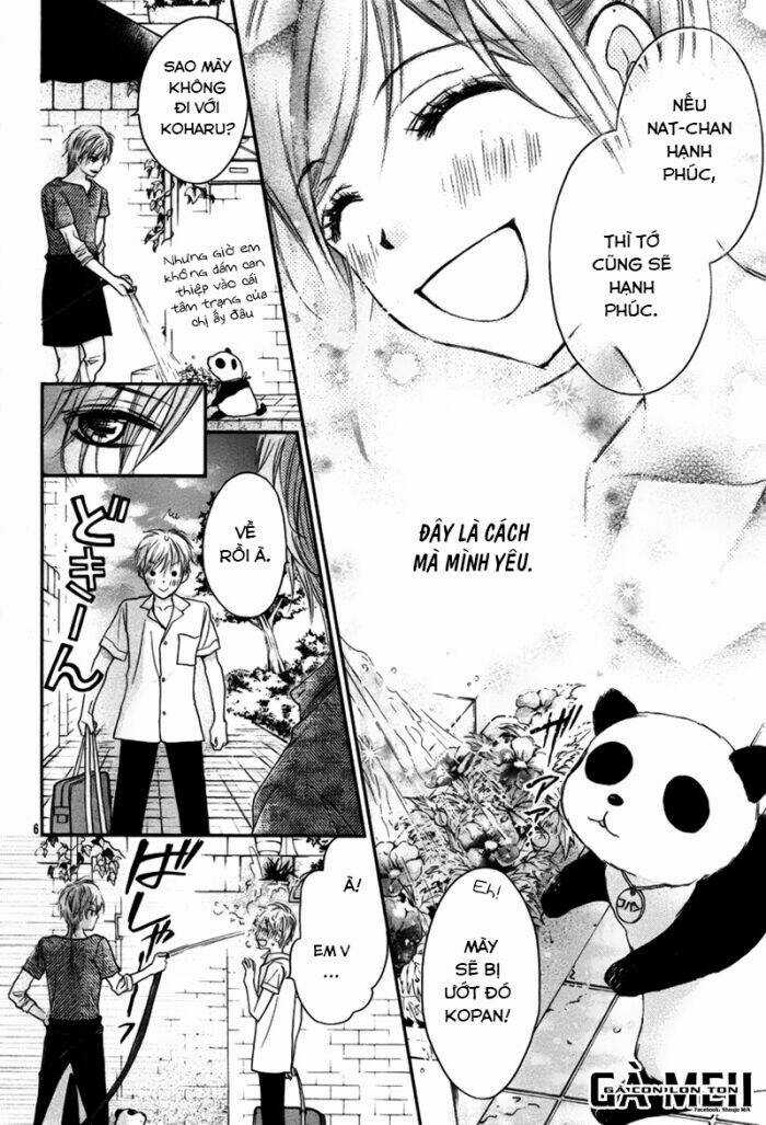 Hachimitsu Ni Hatsukoi Chapter 11 trang 9