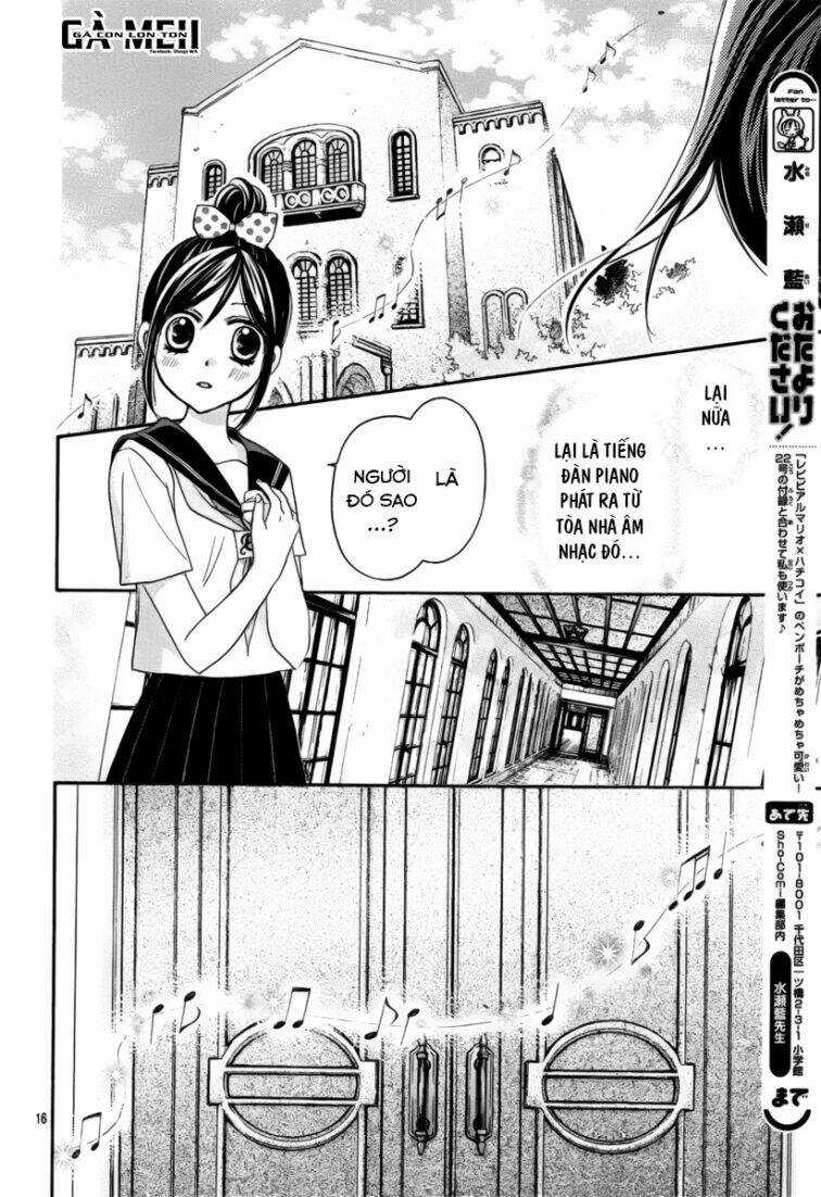 Hachimitsu Ni Hatsukoi Chapter 13 trang 19