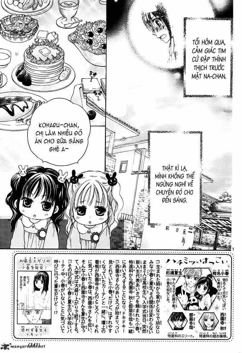 Hachimitsu Ni Hatsukoi Chapter 2 trang 3