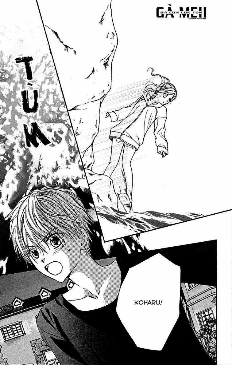 Hachimitsu Ni Hatsukoi Chapter 22 trang 11