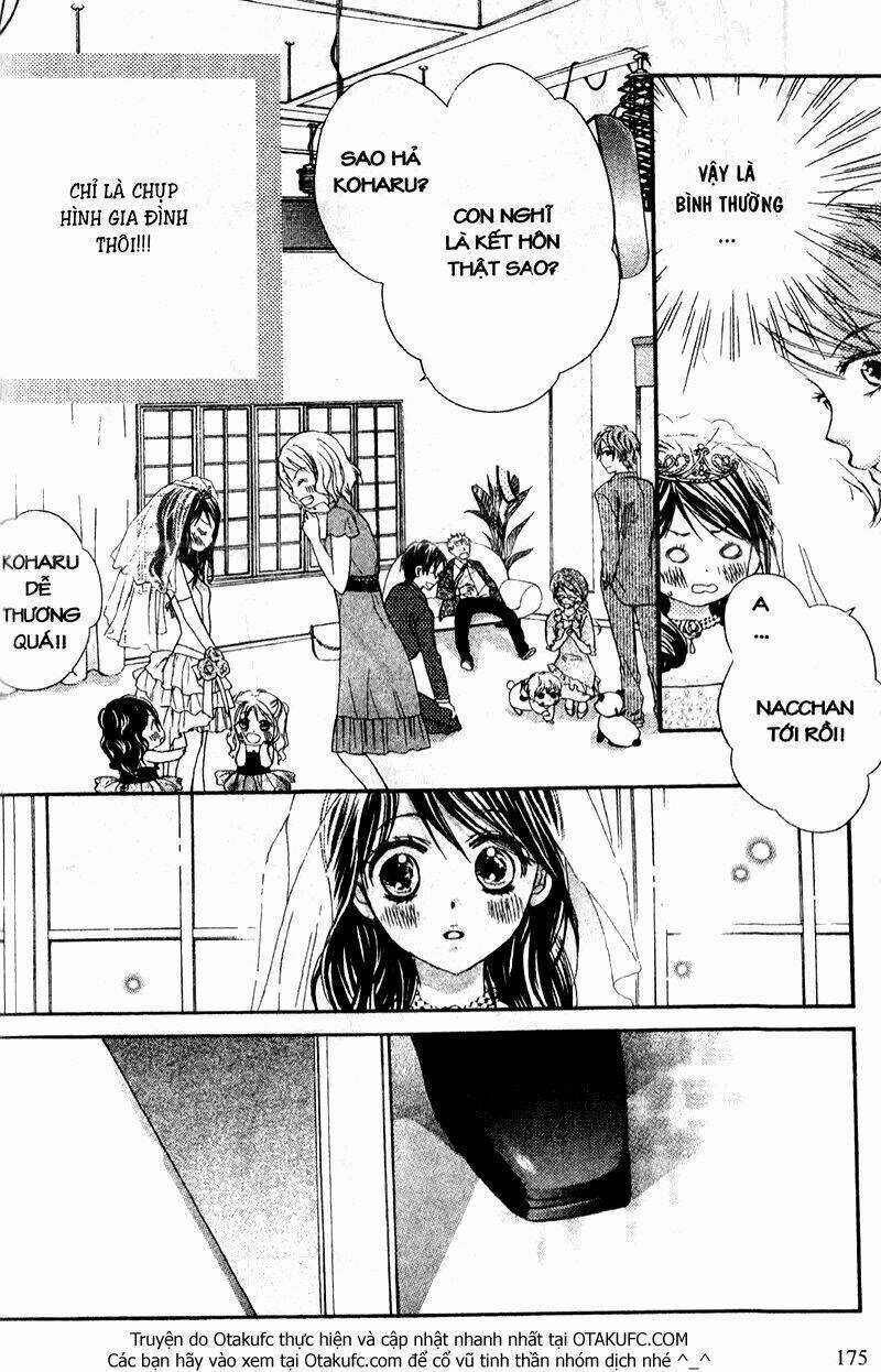 Hachimitsu Ni Hatsukoi Chapter 28 trang 15