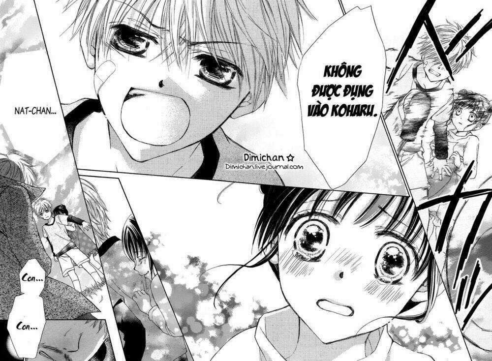 Hachimitsu Ni Hatsukoi Chapter 3.5 trang 15