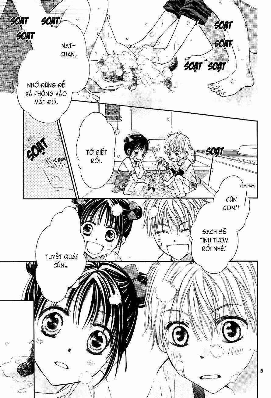 Hachimitsu Ni Hatsukoi Chapter 3.5 trang 19