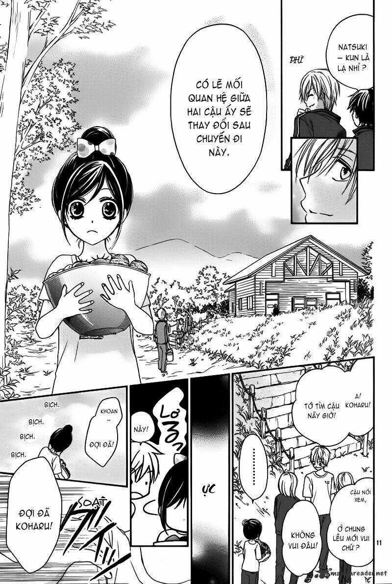 Hachimitsu Ni Hatsukoi Chapter 3 trang 12