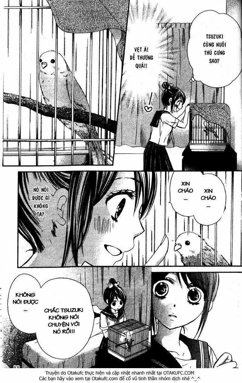 Hachimitsu Ni Hatsukoi Chapter 31 trang 15