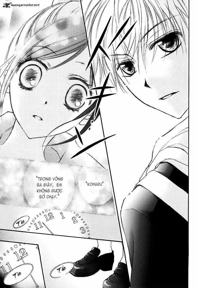 Hachimitsu Ni Hatsukoi Chapter 4 trang 25