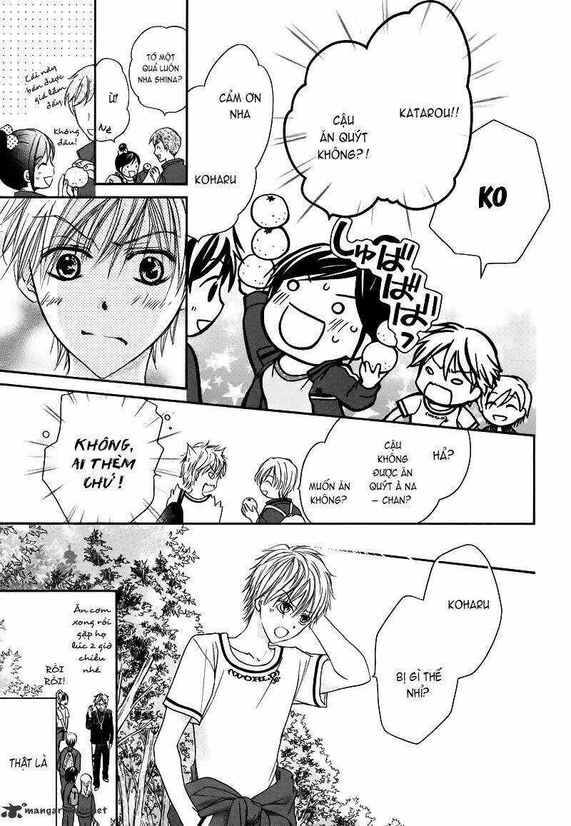 Hachimitsu Ni Hatsukoi Chapter 4 trang 7