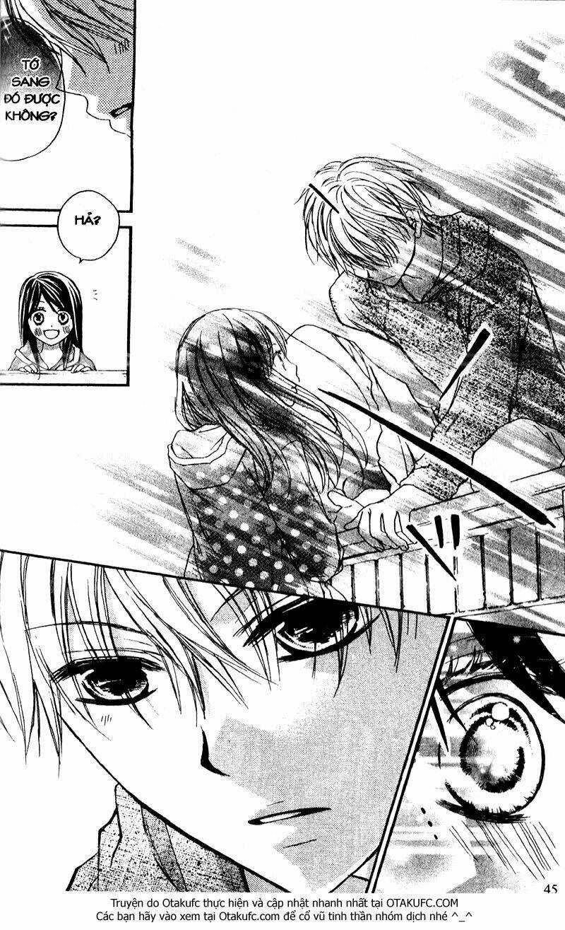 Hachimitsu Ni Hatsukoi Chapter 41 trang 11