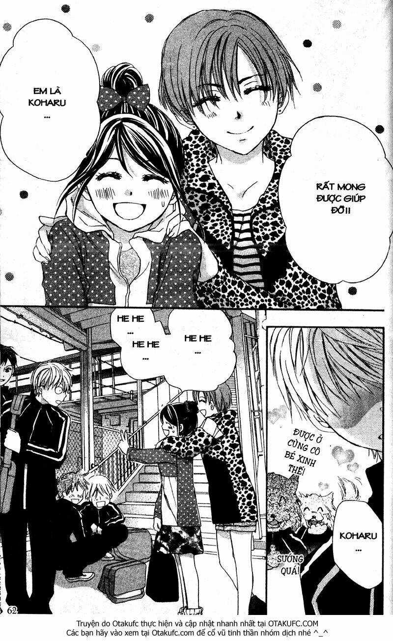 Hachimitsu Ni Hatsukoi Chapter 41 trang 28