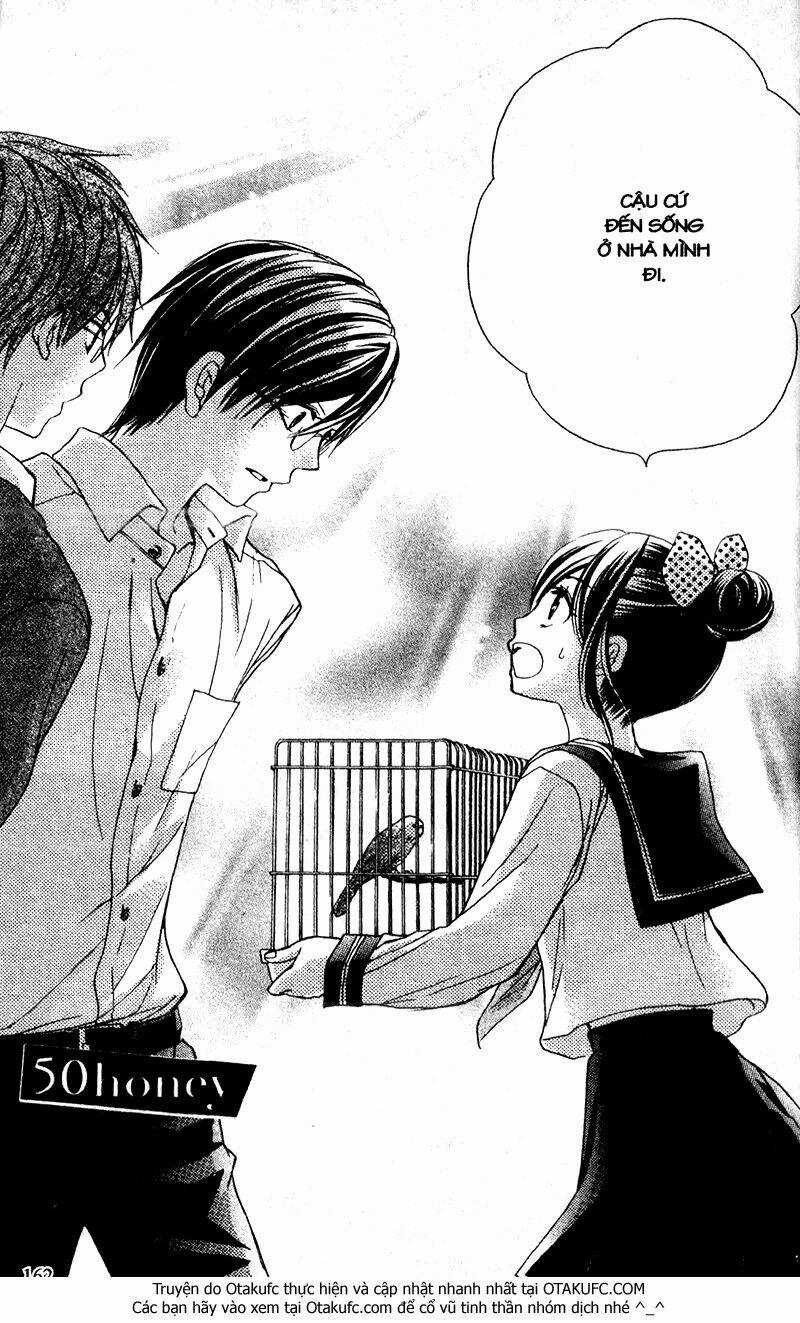 Hachimitsu Ni Hatsukoi Chapter 50 trang 2