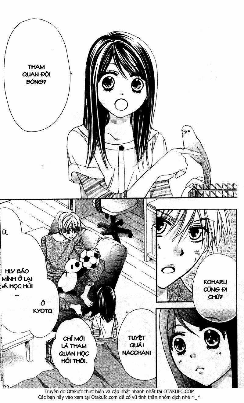 Hachimitsu Ni Hatsukoi Chapter 51 trang 20