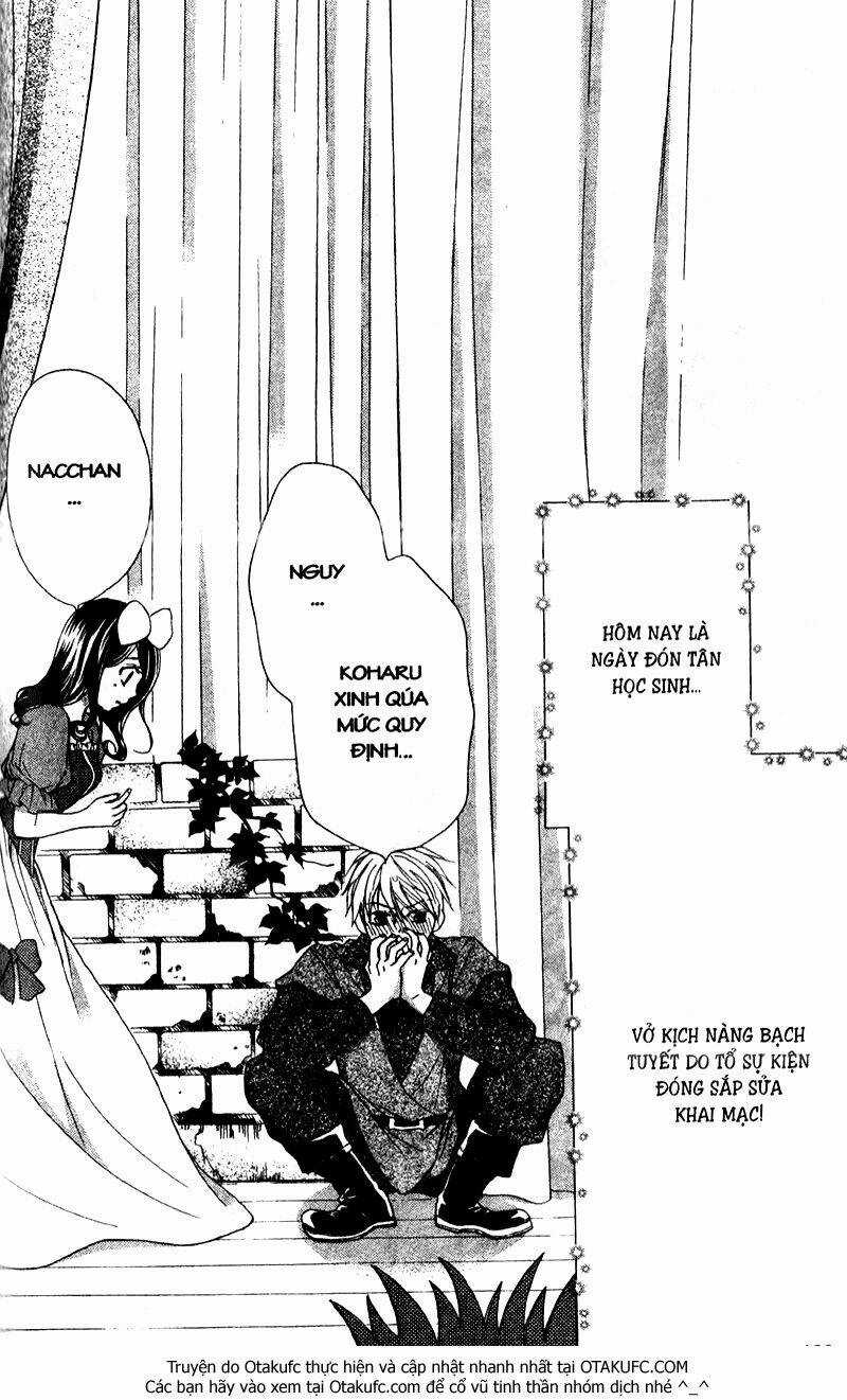 Hachimitsu Ni Hatsukoi Chapter 55 trang 3