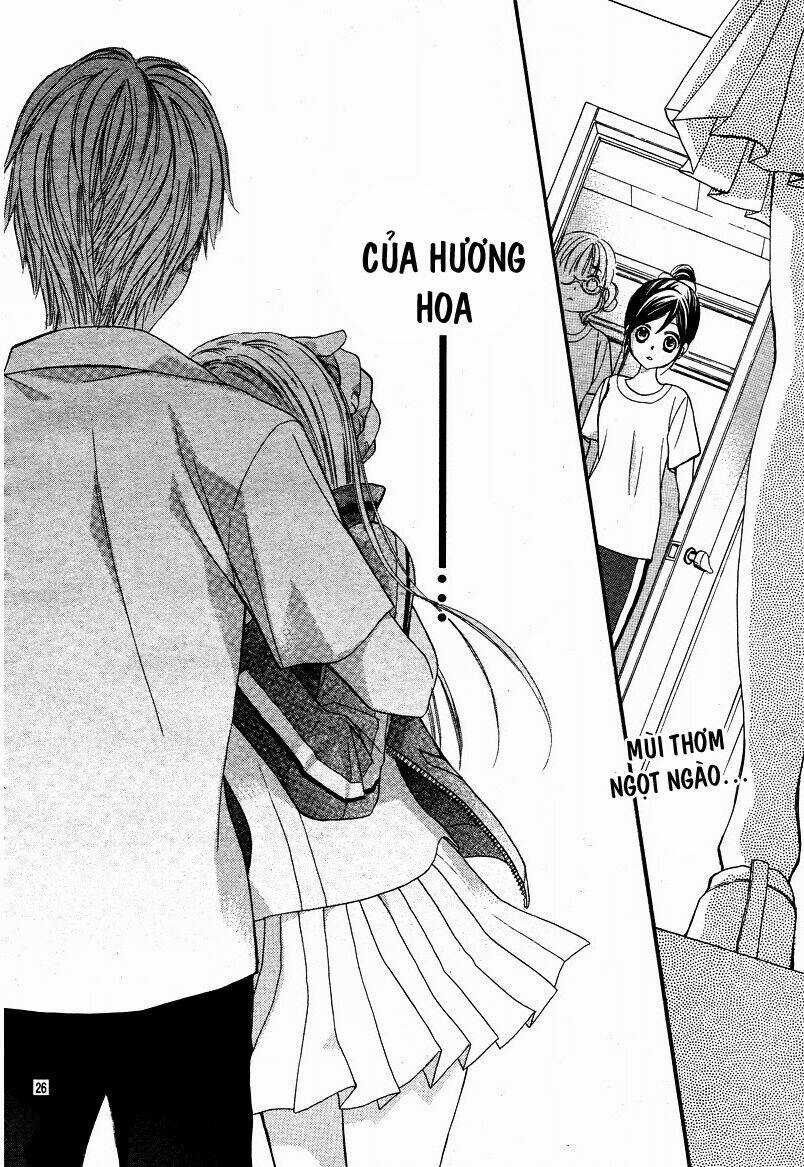 Hachimitsu Ni Hatsukoi Chapter 7 trang 27