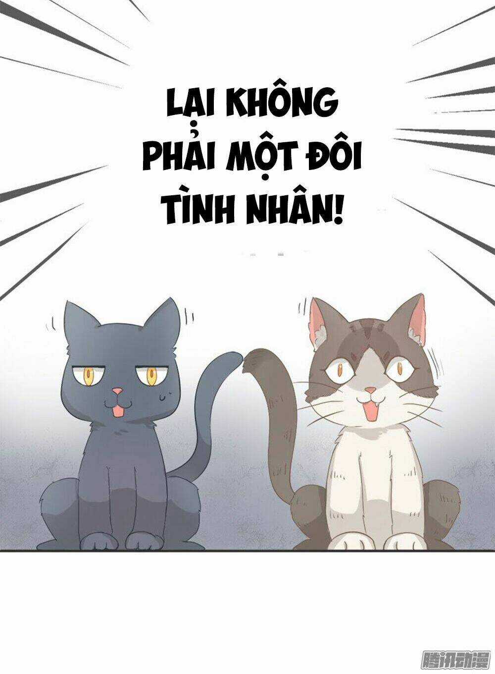 Hai Chú Mèo ToTem Chapter 0 trang 4