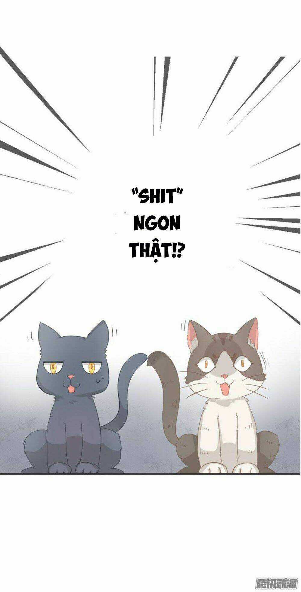 Hai Chú Mèo ToTem Chapter 1 trang 16