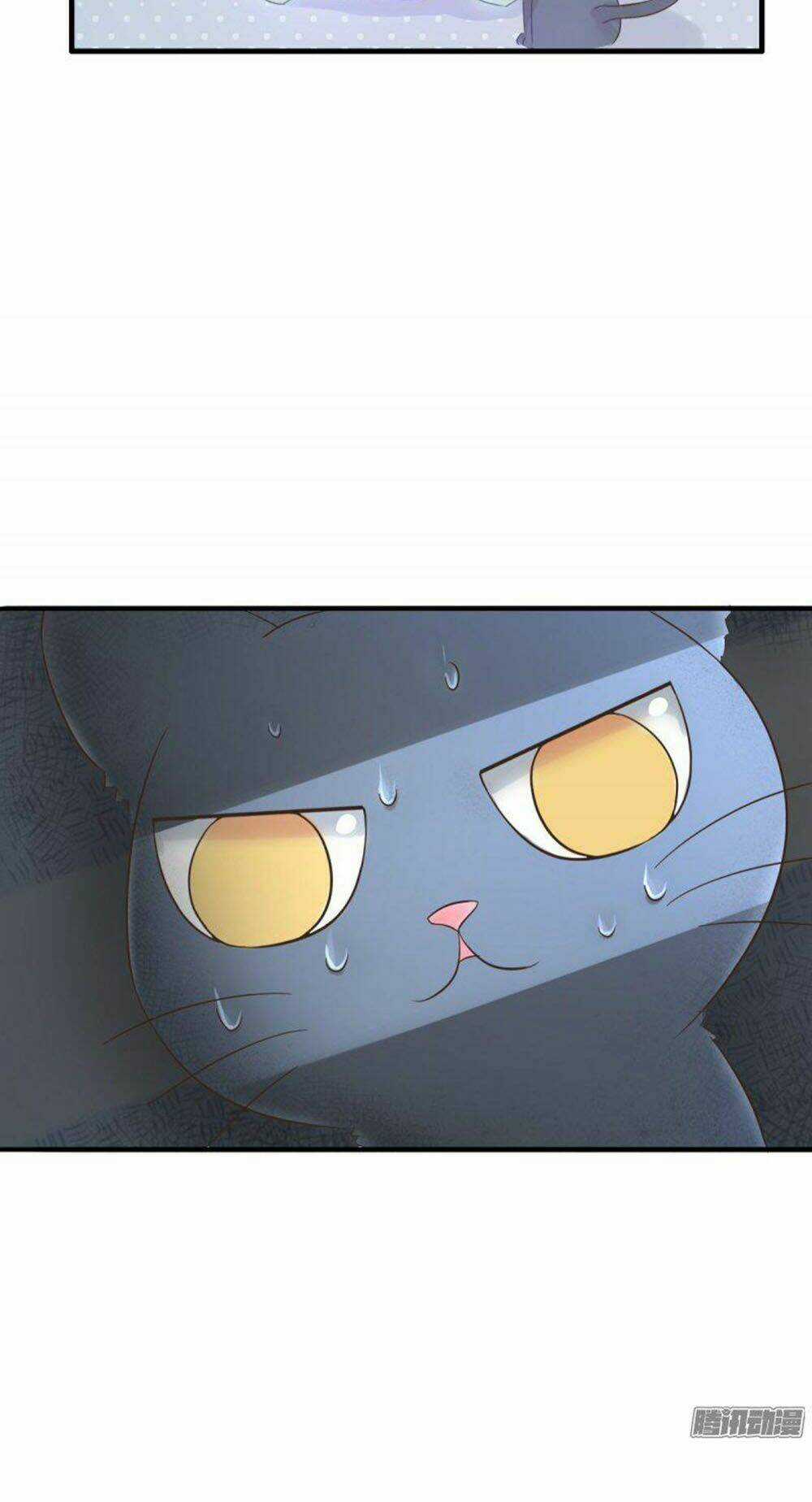 Hai Chú Mèo ToTem Chapter 1 trang 22