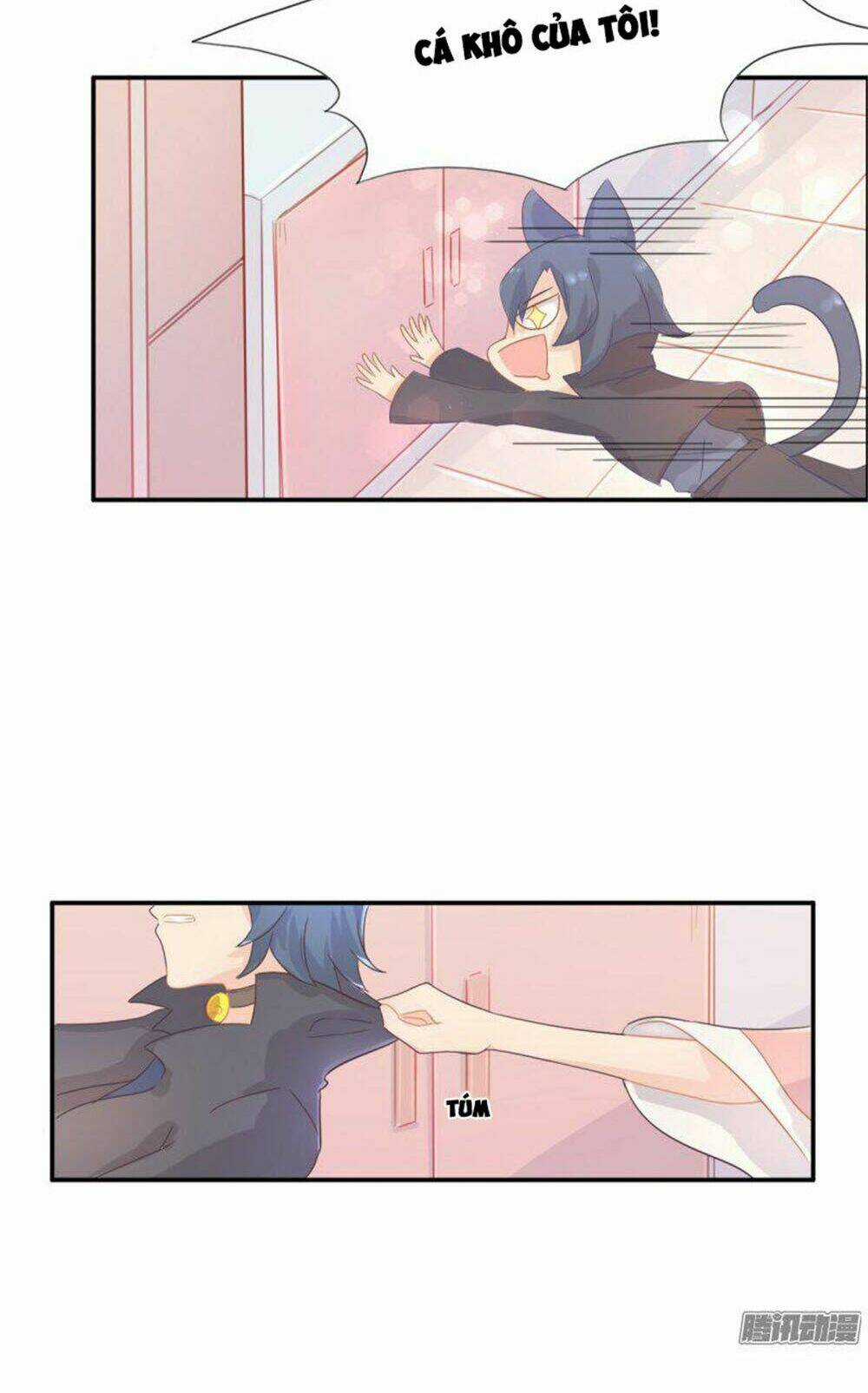 Hai Chú Mèo ToTem Chapter 1 trang 41