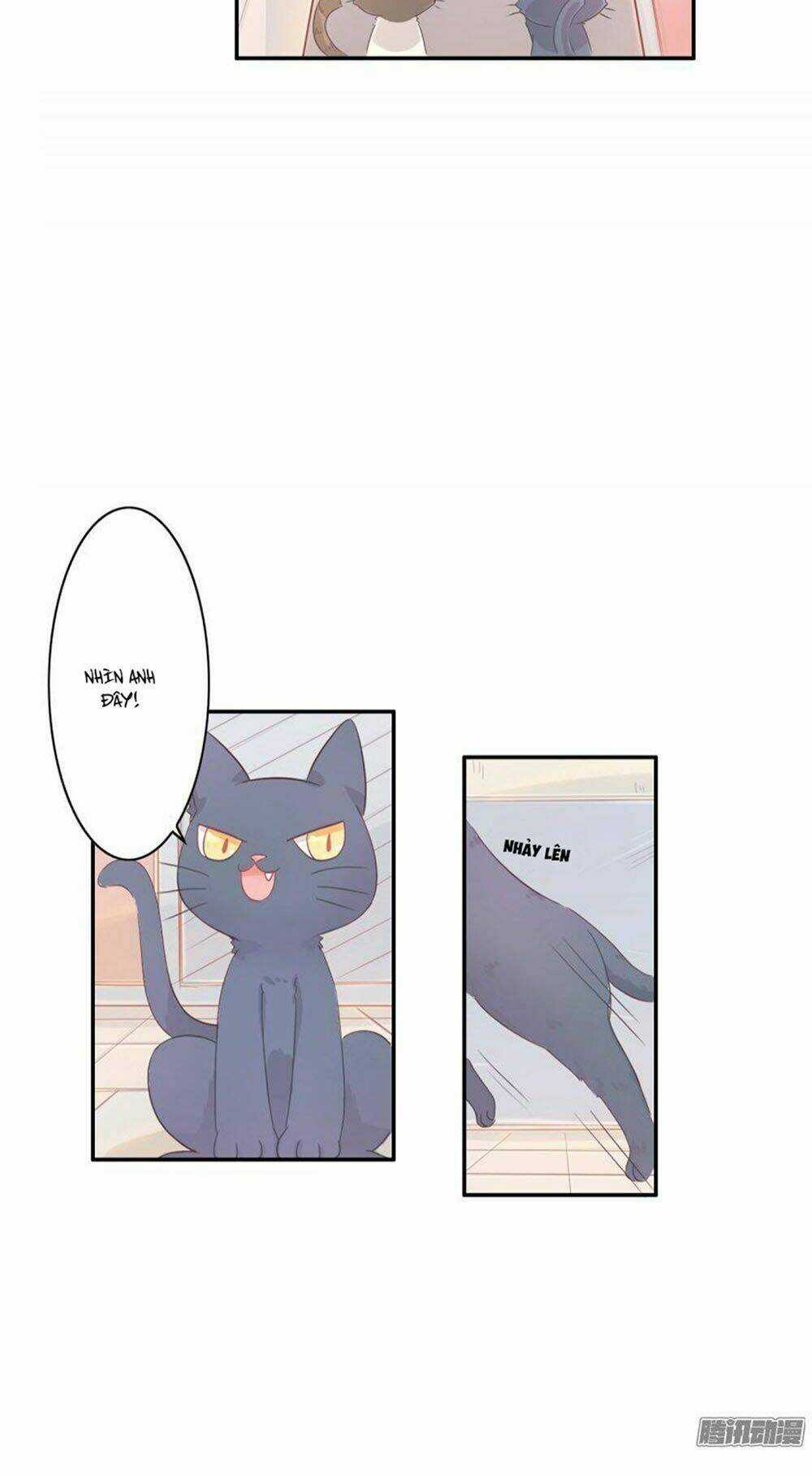 Hai Chú Mèo ToTem Chapter 1 trang 48