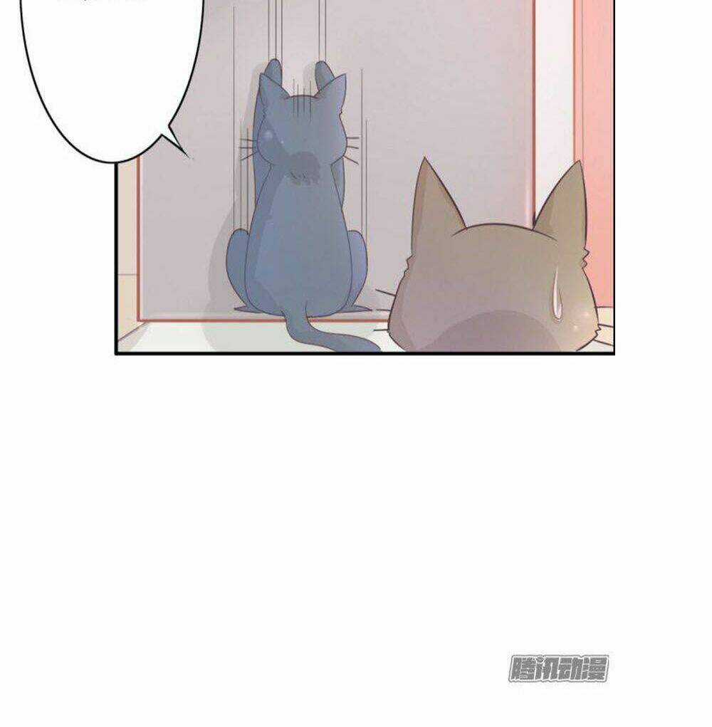 Hai Chú Mèo ToTem Chapter 1 trang 51