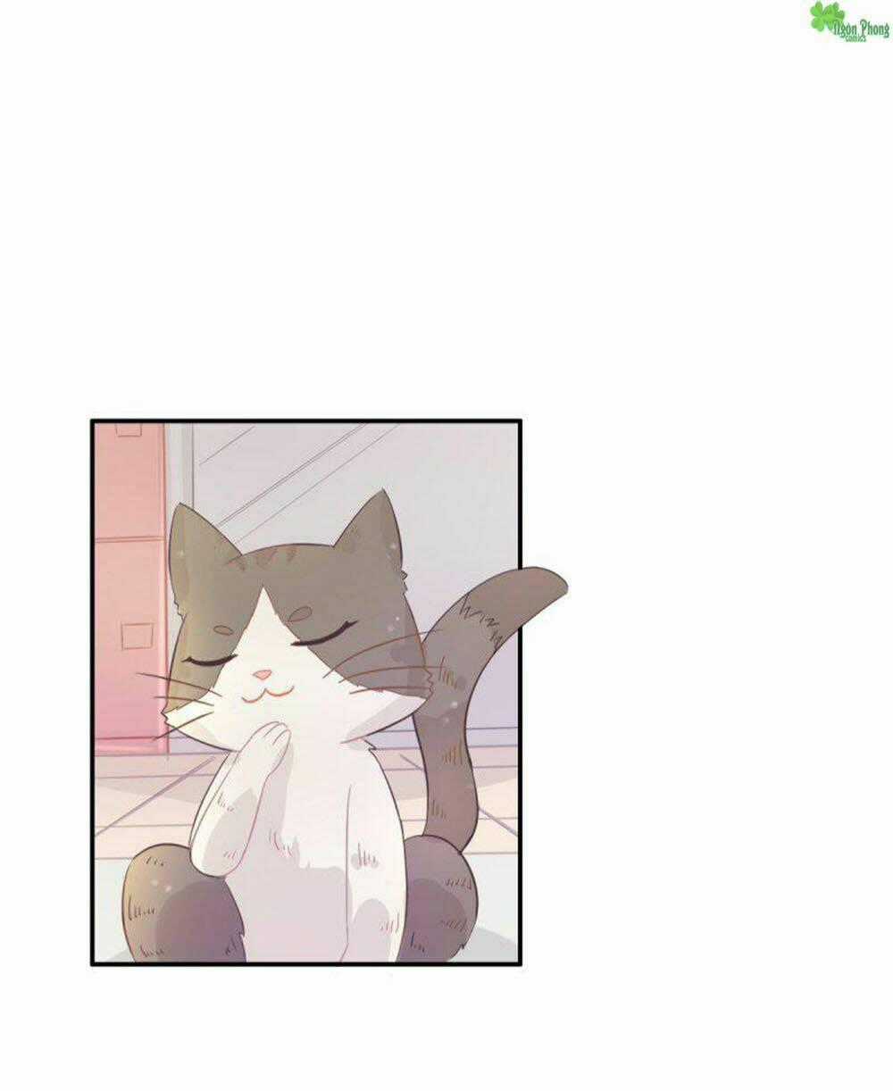 Hai Chú Mèo ToTem Chapter 1 trang 52