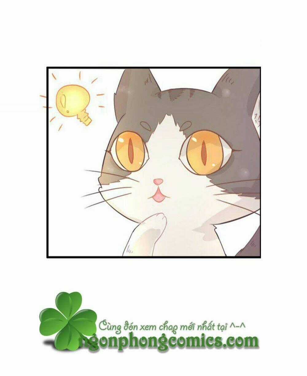 Hai Chú Mèo ToTem Chapter 1 trang 53