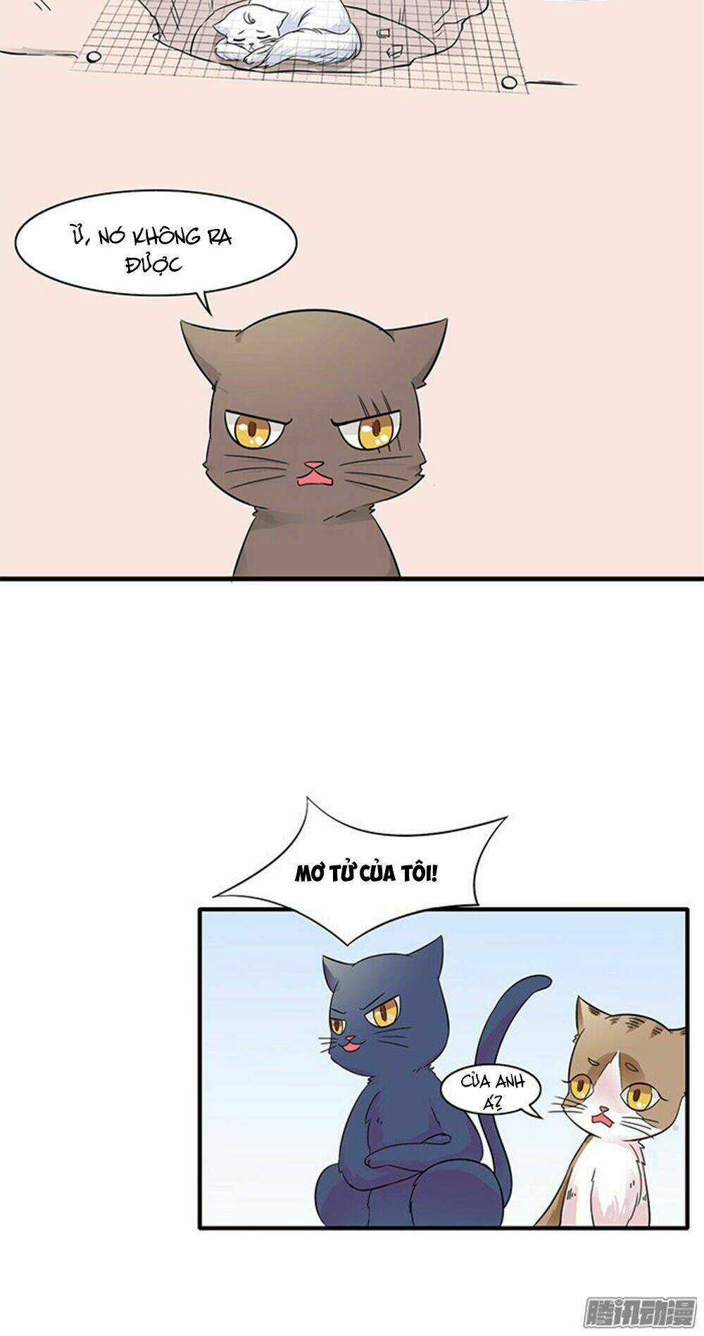 Hai Chú Mèo ToTem Chapter 11 trang 8
