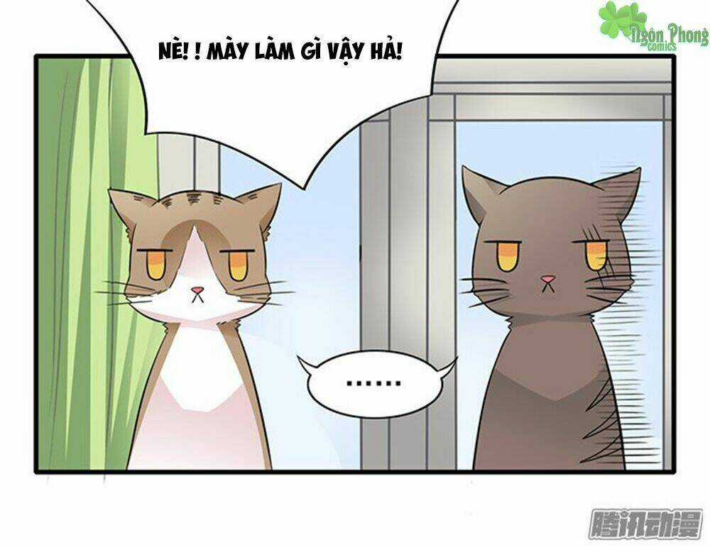 Hai Chú Mèo ToTem Chapter 12 trang 2