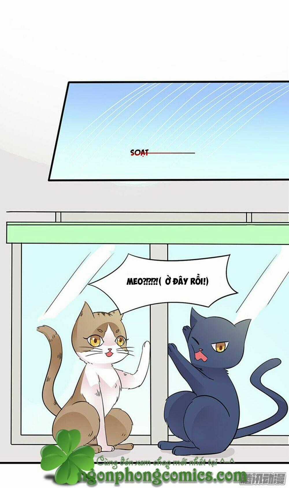 Hai Chú Mèo ToTem Chapter 12 trang 20