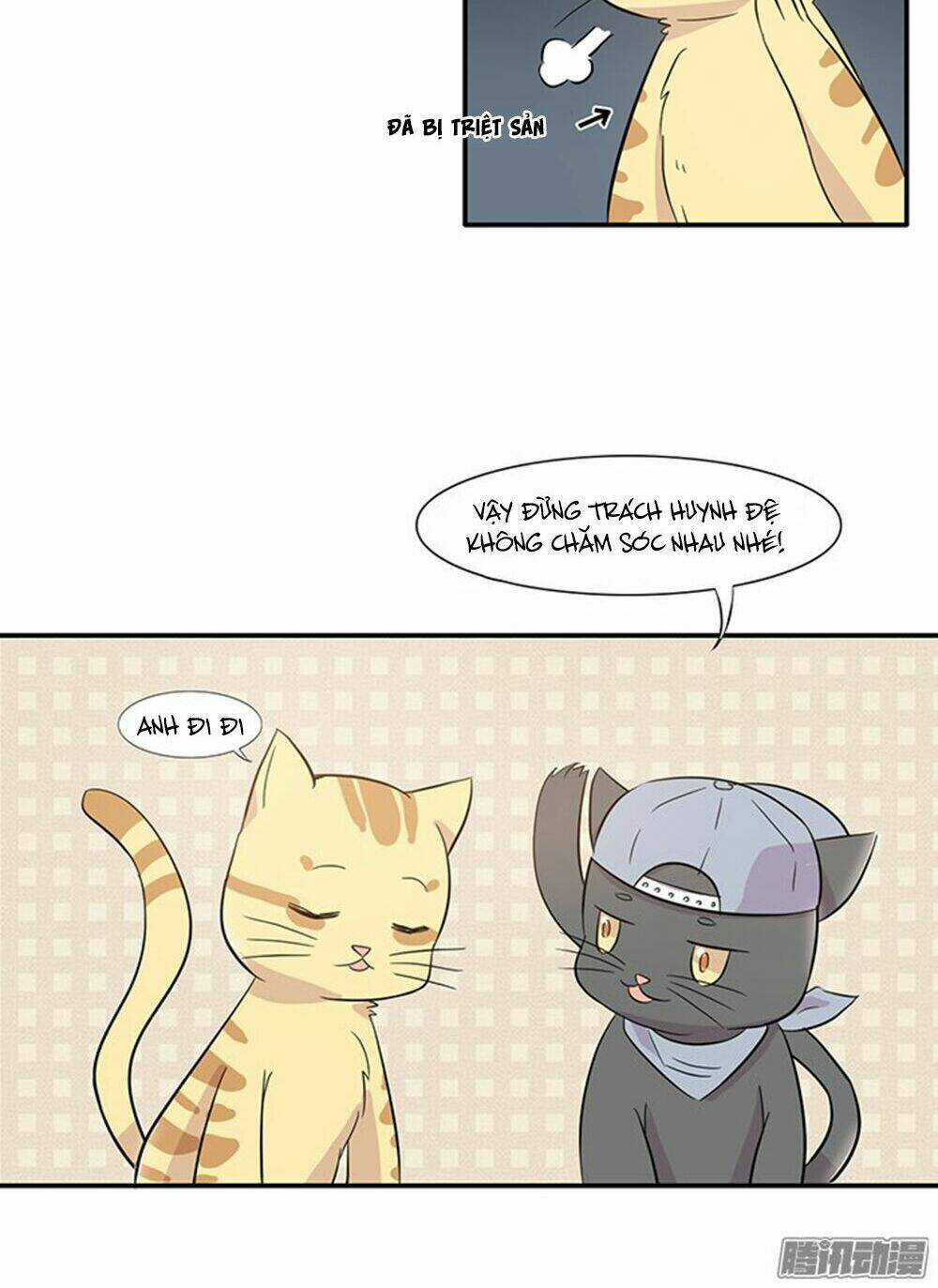 Hai Chú Mèo ToTem Chapter 14 trang 11