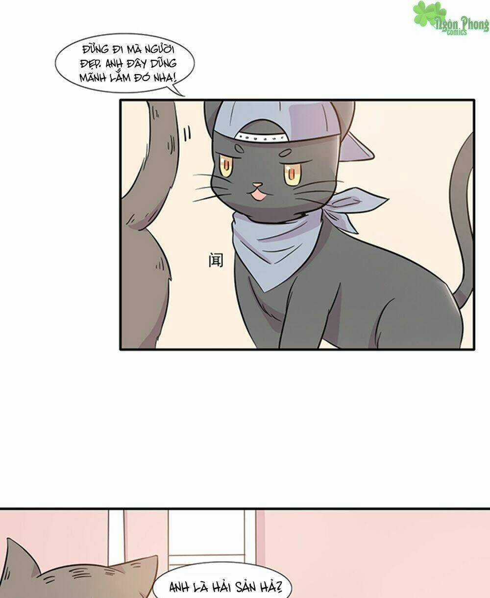Hai Chú Mèo ToTem Chapter 14 trang 14
