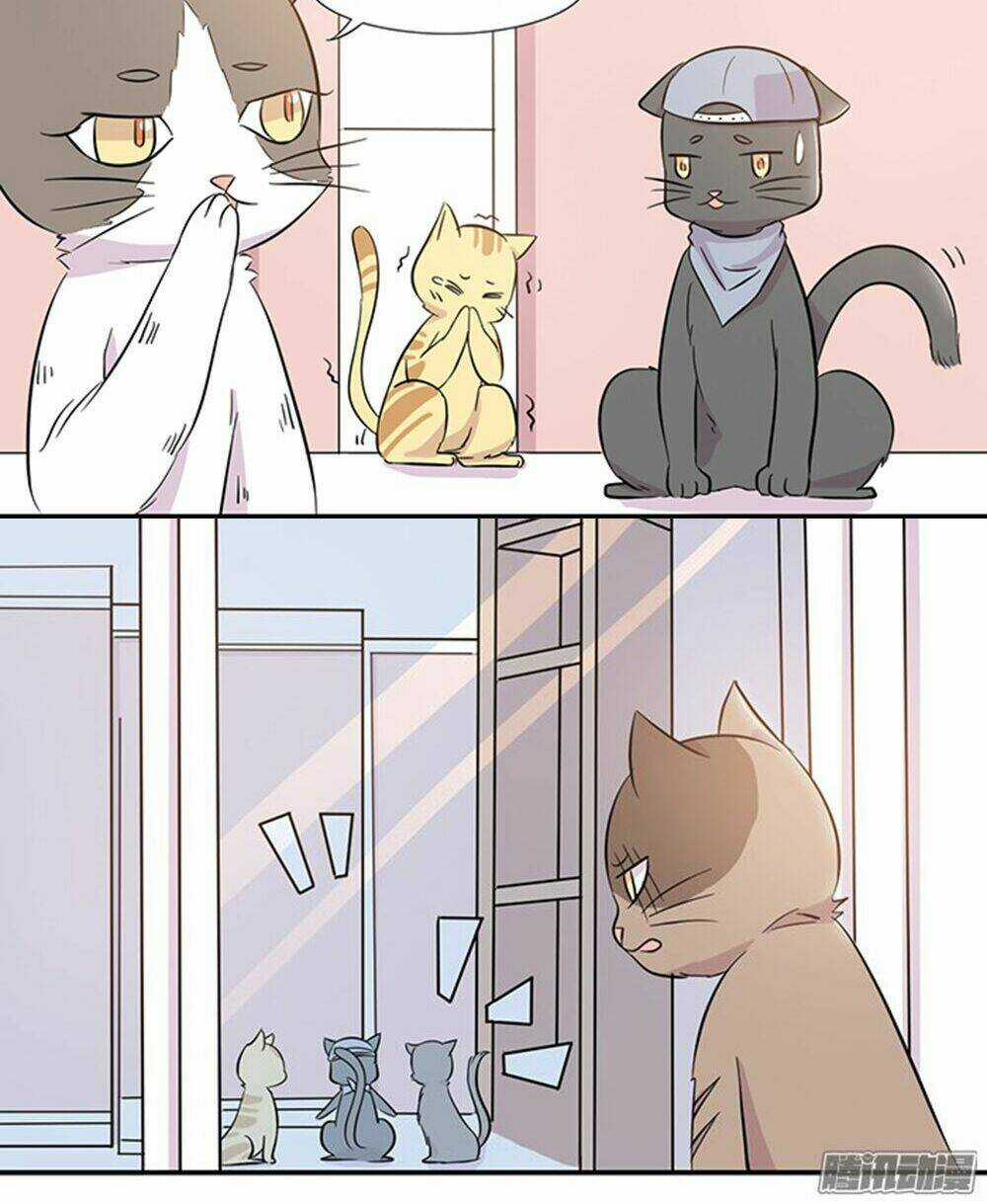 Hai Chú Mèo ToTem Chapter 14 trang 15