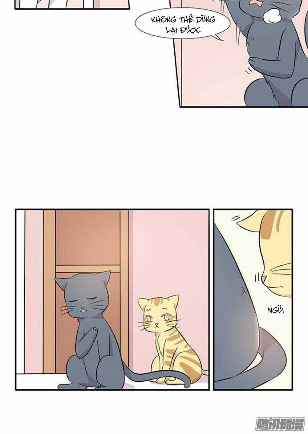 Hai Chú Mèo ToTem Chapter 14 trang 17