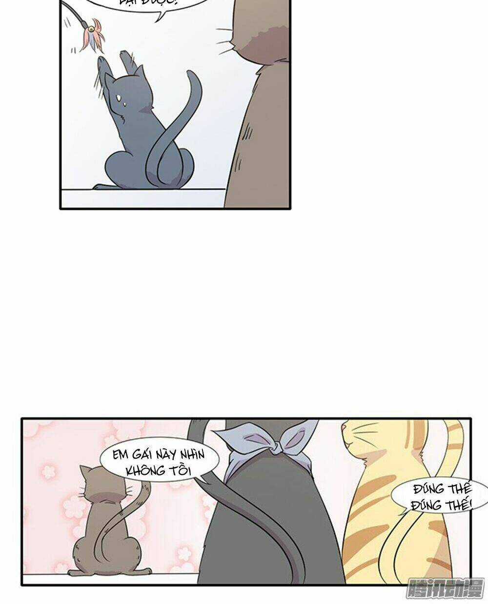 Hai Chú Mèo ToTem Chapter 14 trang 9