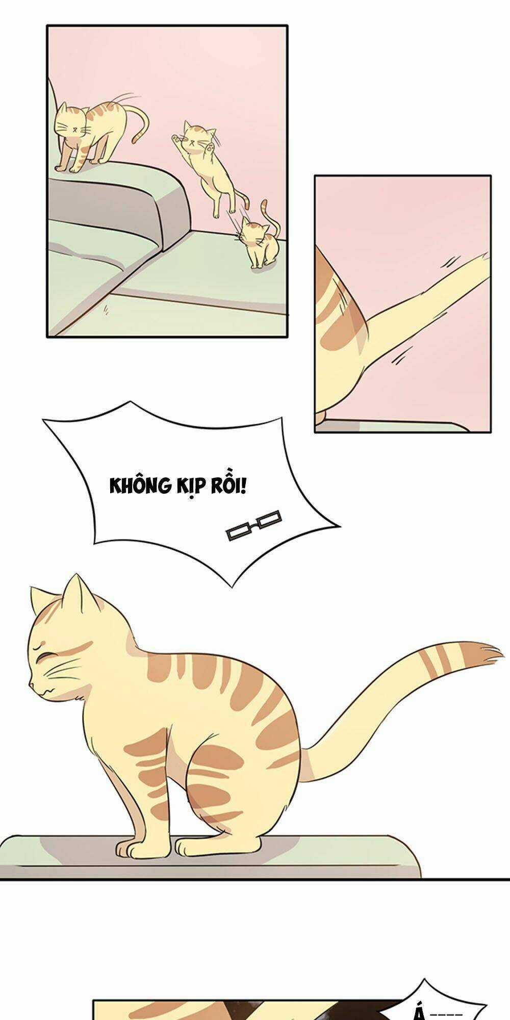 Hai Chú Mèo ToTem Chapter 15 trang 14